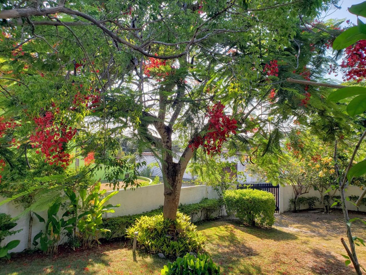 Casa Sitio Regiao Dos Lagos 1200m2 Terreno- S Pedro Daldeia